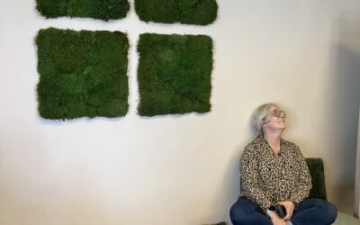 Dimsalen Reimagined: A Calmer, More Accessible Classroom Opened for Testing