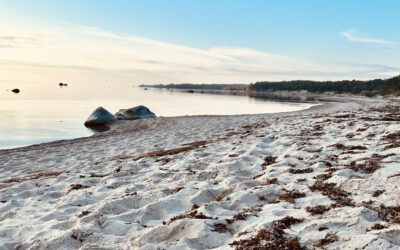 Join the Baltic PlaNet Stakeholder Network!