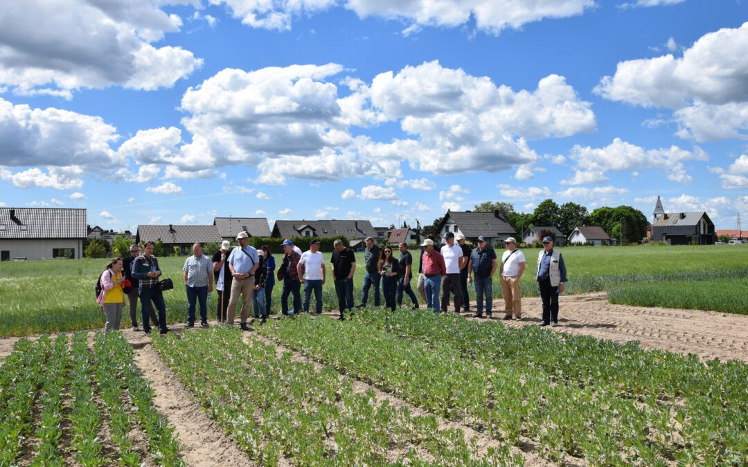In the Field with Farmers: PestSpace 4th Stakeholder Workshop in Chrząstowo, Poland