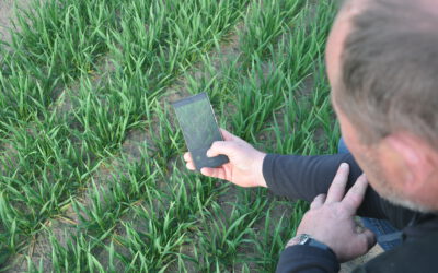 📸 Project in Action: Field Data Collection and Plant Health Monitoring