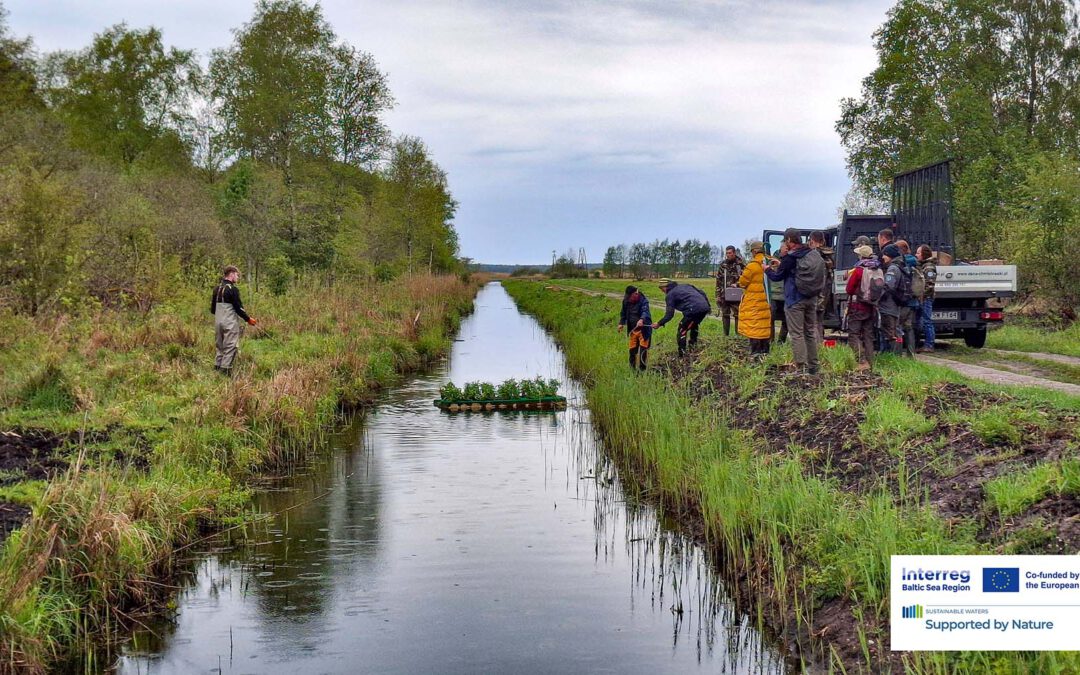 Floating islands and hands-on learning in Słowiński National Park