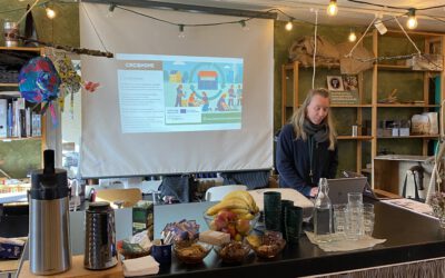 Interview: Household Experiences of Reuse and Repair in Kerava