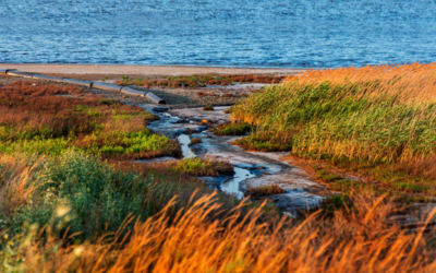 What are the sustainable wastewater solutions for Baltic Sea coastal tourist areas