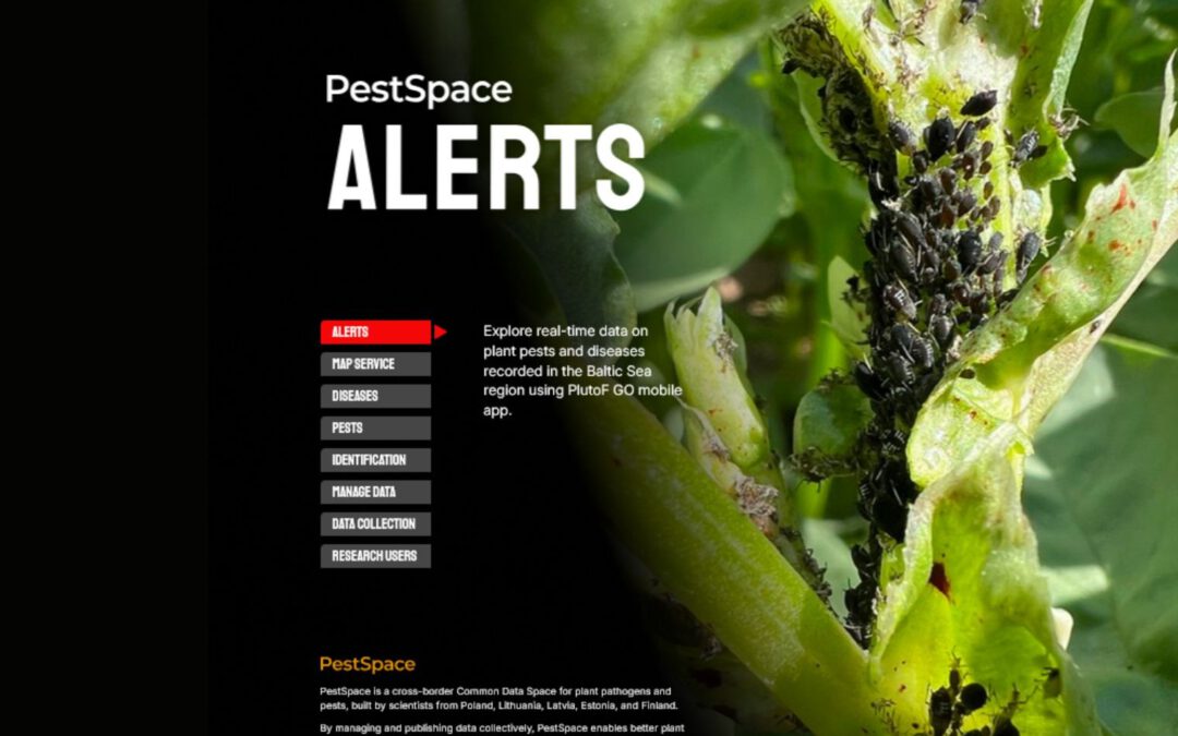PestSpace Alert System – beta version ready!