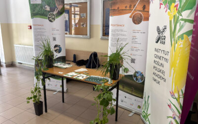 Green Plants, Shared Data, New Connections – The Pest Space Stand at EU Green Week in Lublin
