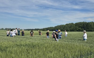 Field Workshop in Lithuania: Smart Plant Protection and AI for Disease & Pest Monitoring
