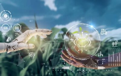 AI-AGRI project launched: partners seek practical artificial intelligence solutions for agriculture