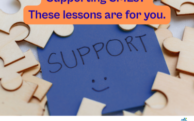 Supporting SMEs? These lessons are for you.
