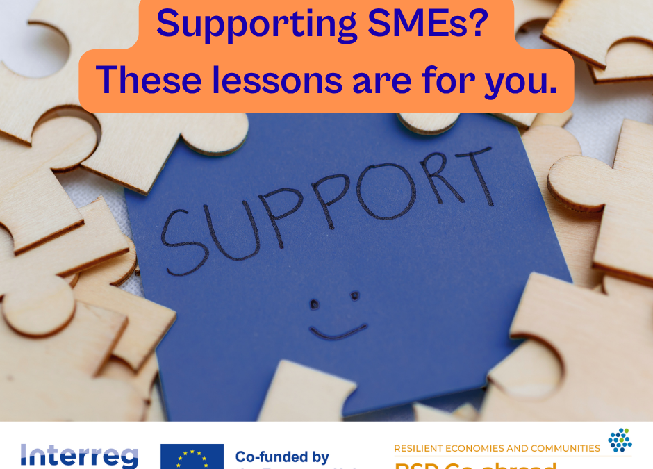 Supporting SMEs? These lessons are for you.