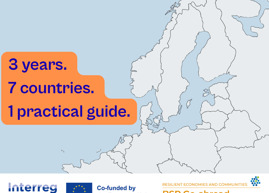 Three years. Seven countries. One practical guide.