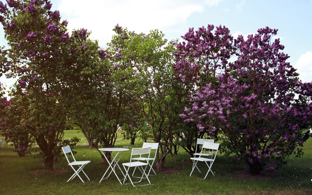 Environmental and Landscaping Specialists of Zemgale Acquire Skills in Modern and Sustainable Public Garden Planning
