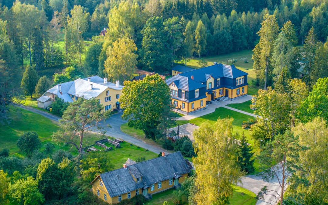 Kääpa energy community grows through patience, trust and local leadership