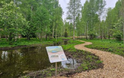 Urban Wetland Prostmyran (Sweden)