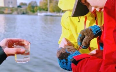 Tourism company stories – CliNeDest helps companies to find business value and new ideas through climate work
