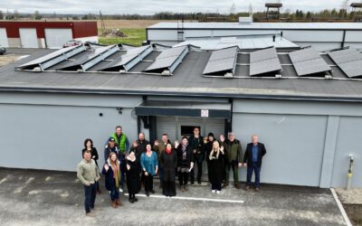 What StartSun pilots teach us about building energy communities