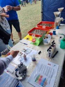 Soil samples and demonstration equipment used to present the effects of gypsum application in agriculture.