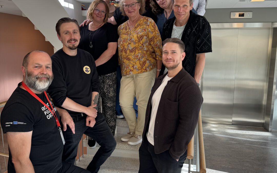 Music Sector Voices from Jakobstad/Pietarsaari: Building the Case for Regional Mapping