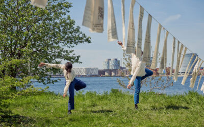 Shaping Resilience: What Can Art and Culture Do for Our Cities?