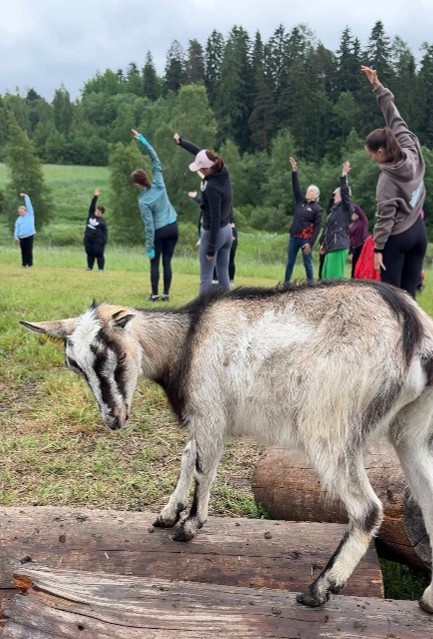 New ways of utilizing green spaces were tested in the Baltic Sea region
