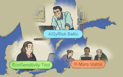 Animation highlighting the  OpenRisk II tools