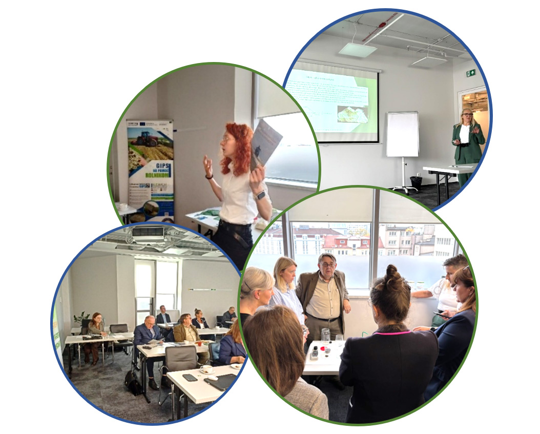 Participants discussing the results and future prospects of agricultural gypsum use in Poland during the GYPREG project roundtable held in Warsaw on 8 October 2026